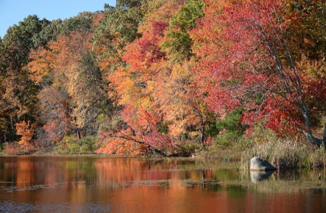 Experience serene sunrise views at the Rappahannock River boardwalk.