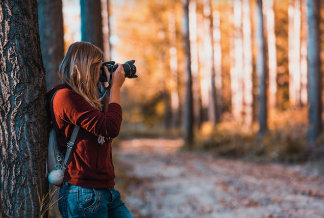Unwind with sunset views at historical sites and parks in Fredericksburg, capturing the day's end beautifully.