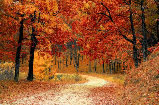 Enhance your visit with insider tips for the best sunrise and sunset experiences around Fredericksburg.