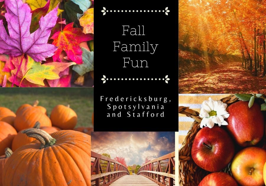 A quaint Fredericksburg street/path lined with trees showing autumn colors — capturing the town’s fall charm.